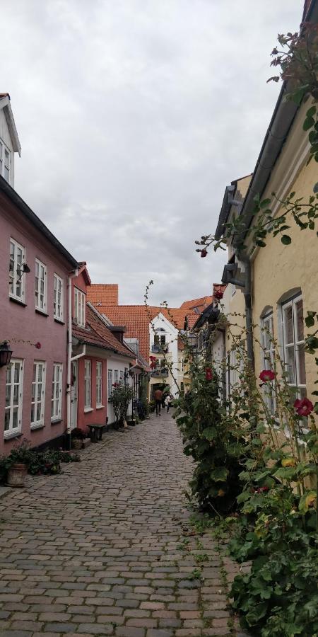 Apartment In The Heart Of Aalborg Dış mekan fotoğraf